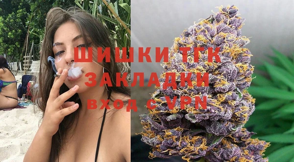 тгк Алзамай