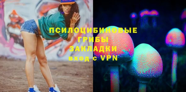 дмт Алексеевка